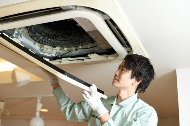 Best HVAC Duct Inspection Services  in Fulda, MN